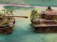 fow germans  (14 of 15)